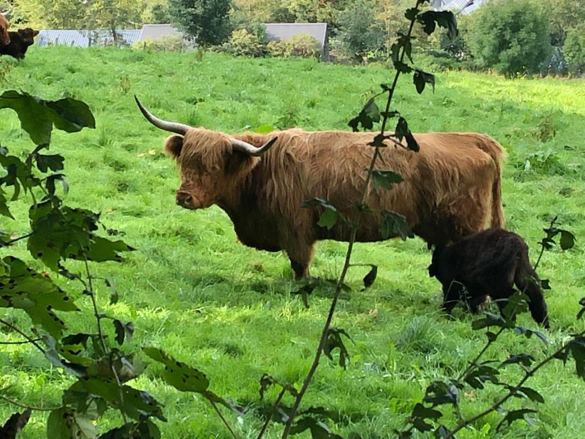 Schoene Aussicht Sauerland By Koelbel Familienurlaub Mit Hund Schmallenberg Bagian luar foto
